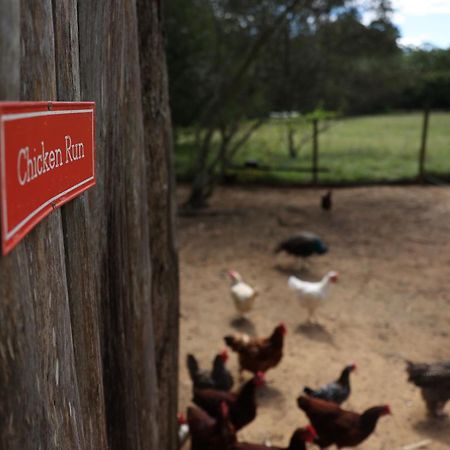 Blackwattle Farm Beerwah Buitenkant foto