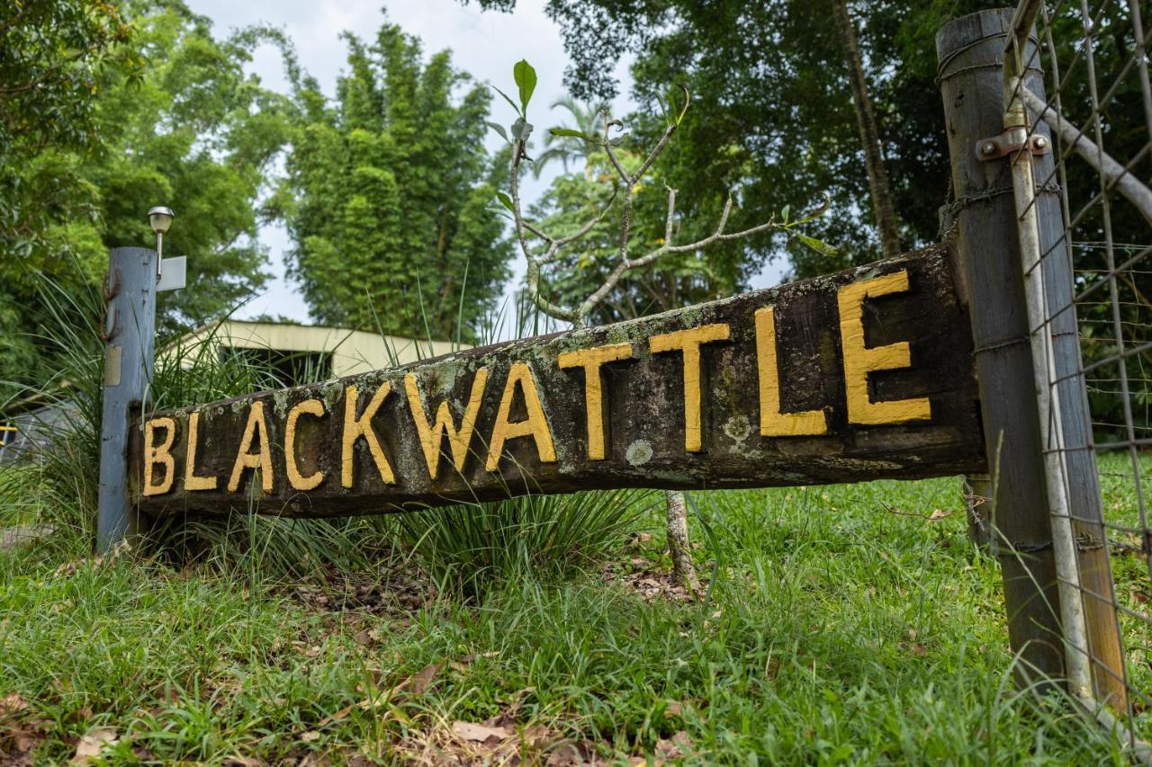 Blackwattle Farm Beerwah Buitenkant foto