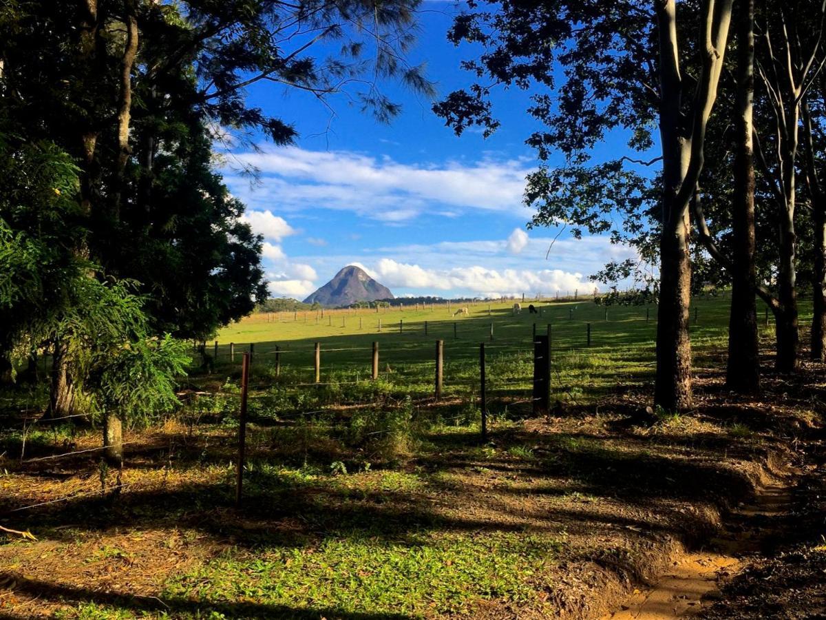 Blackwattle Farm Beerwah Kamer foto