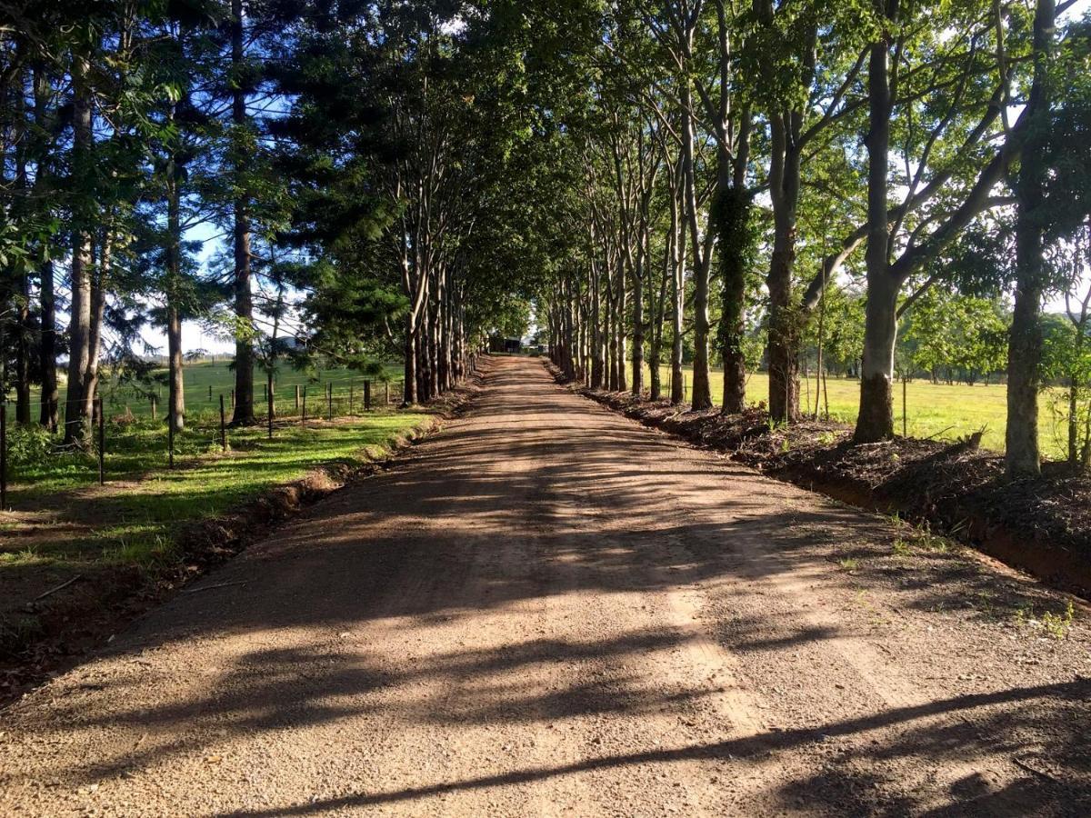 Blackwattle Farm Beerwah Kamer foto