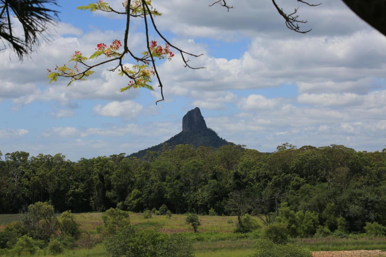 Blackwattle Farm Beerwah Kamer foto