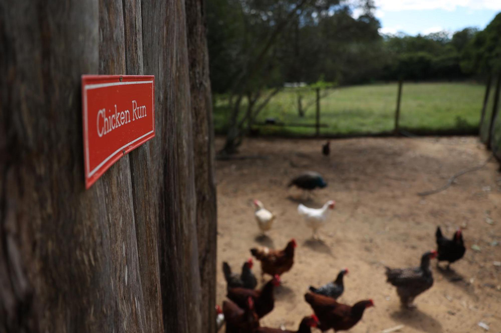 Blackwattle Farm Beerwah Buitenkant foto