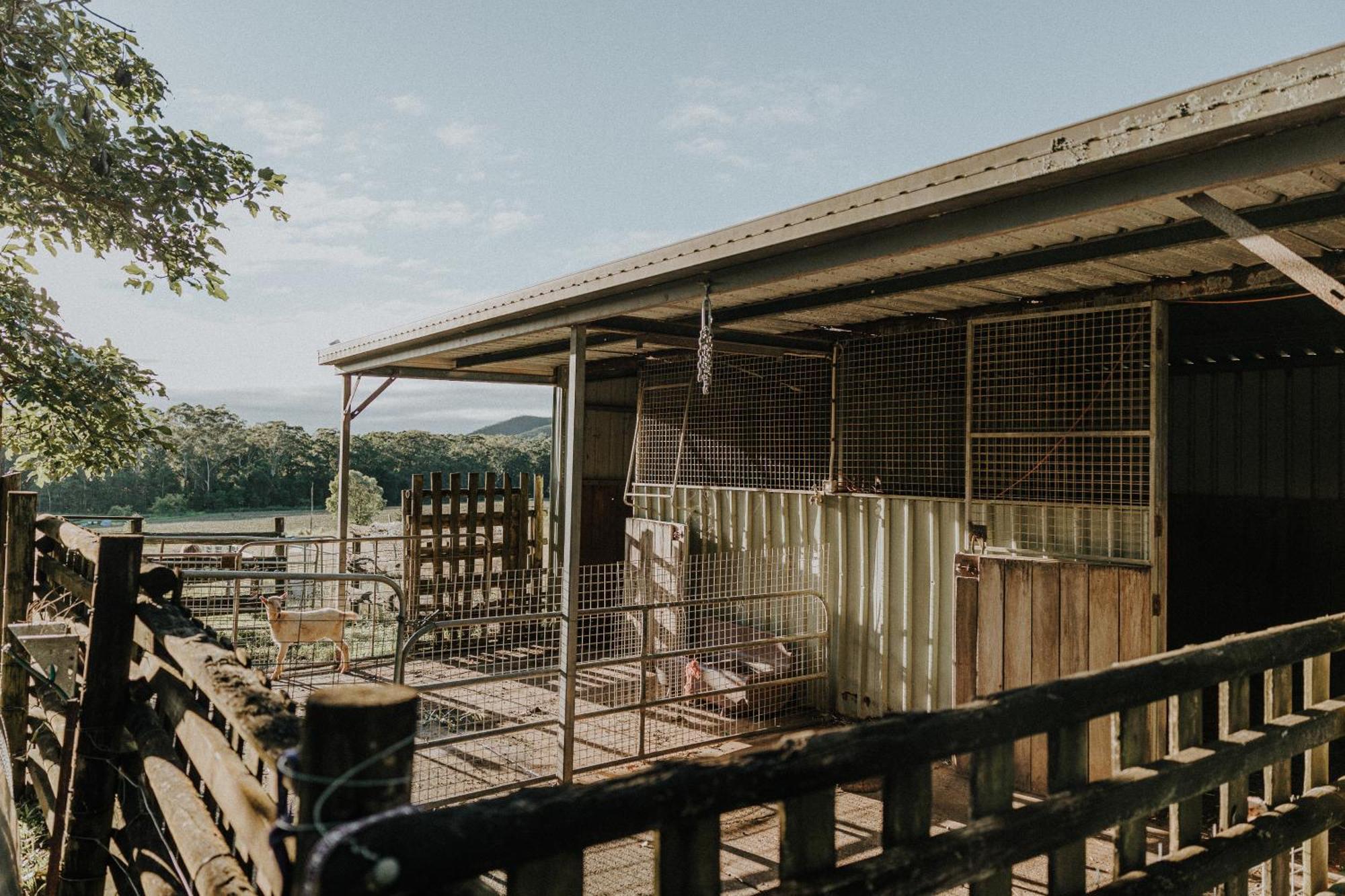 Blackwattle Farm Beerwah Buitenkant foto