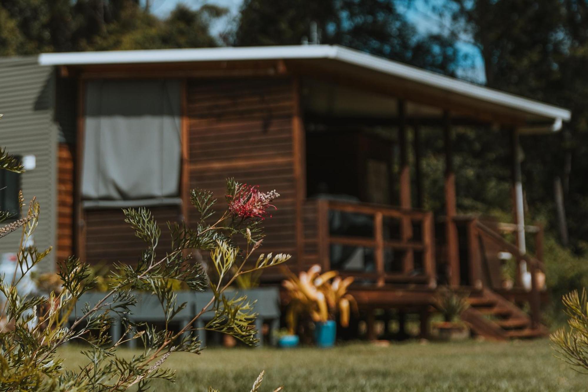 Blackwattle Farm Beerwah Buitenkant foto