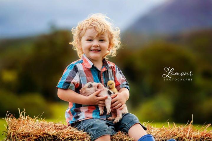 Blackwattle Farm Beerwah Buitenkant foto